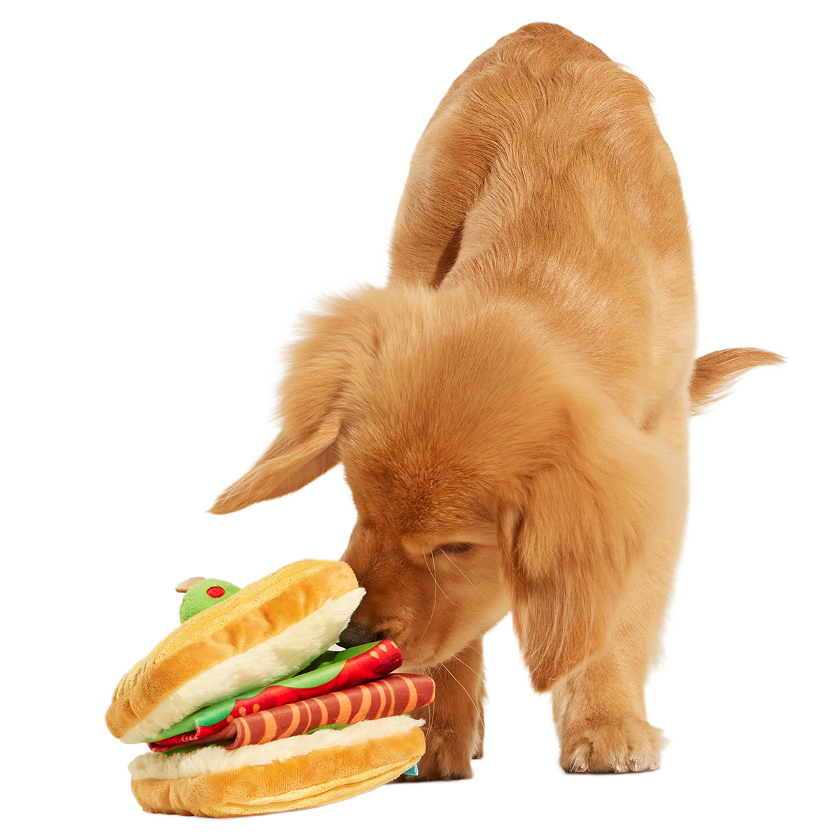 Barkin, Lettuce & Tomutto Plush Tug Dog Toy