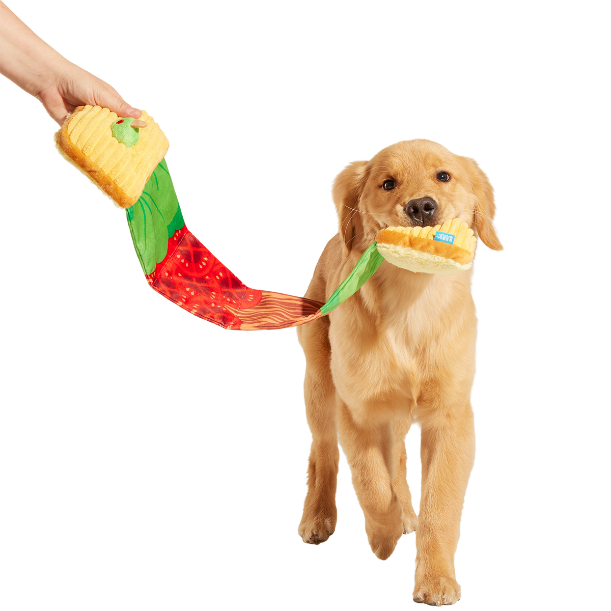 Barkin, Lettuce & Tomutto Plush Tug Dog Toy