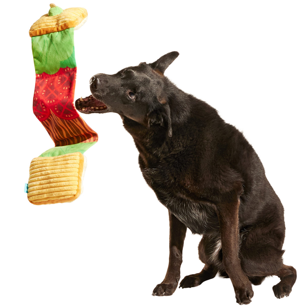 Barkin, Lettuce & Tomutto Plush Tug Dog Toy