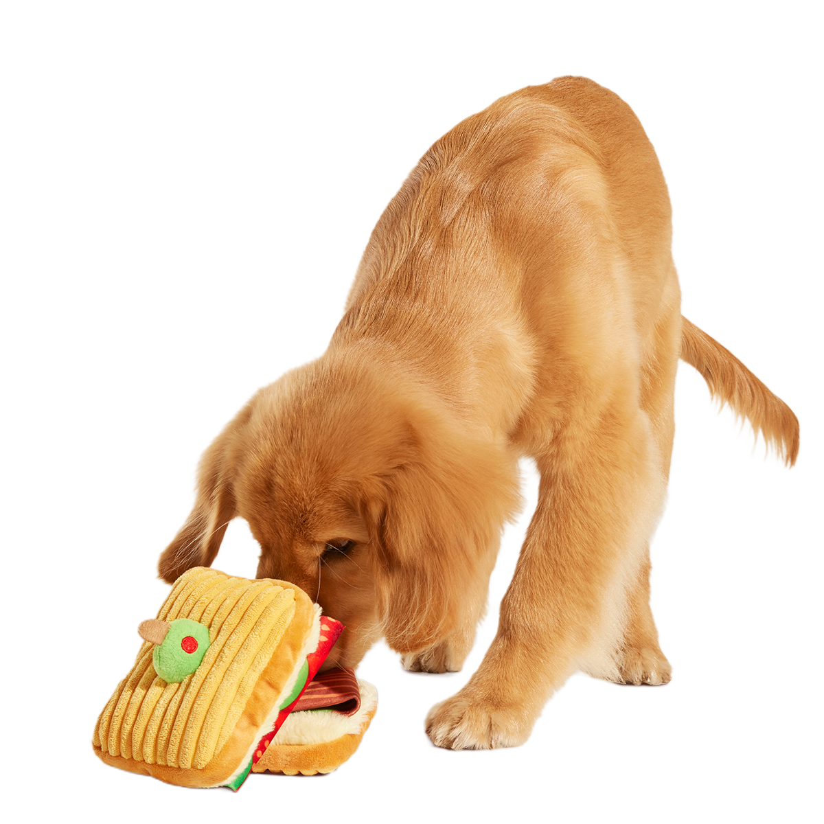 Barkin, Lettuce & Tomutto Plush Tug Dog Toy