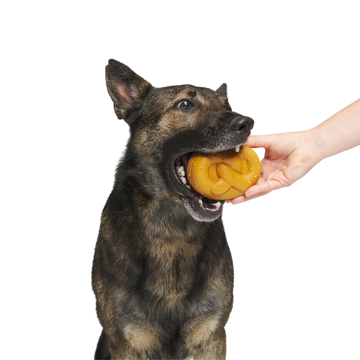 Barkvarian Pretzel Super Chewer Durable Fetch Dog Toy