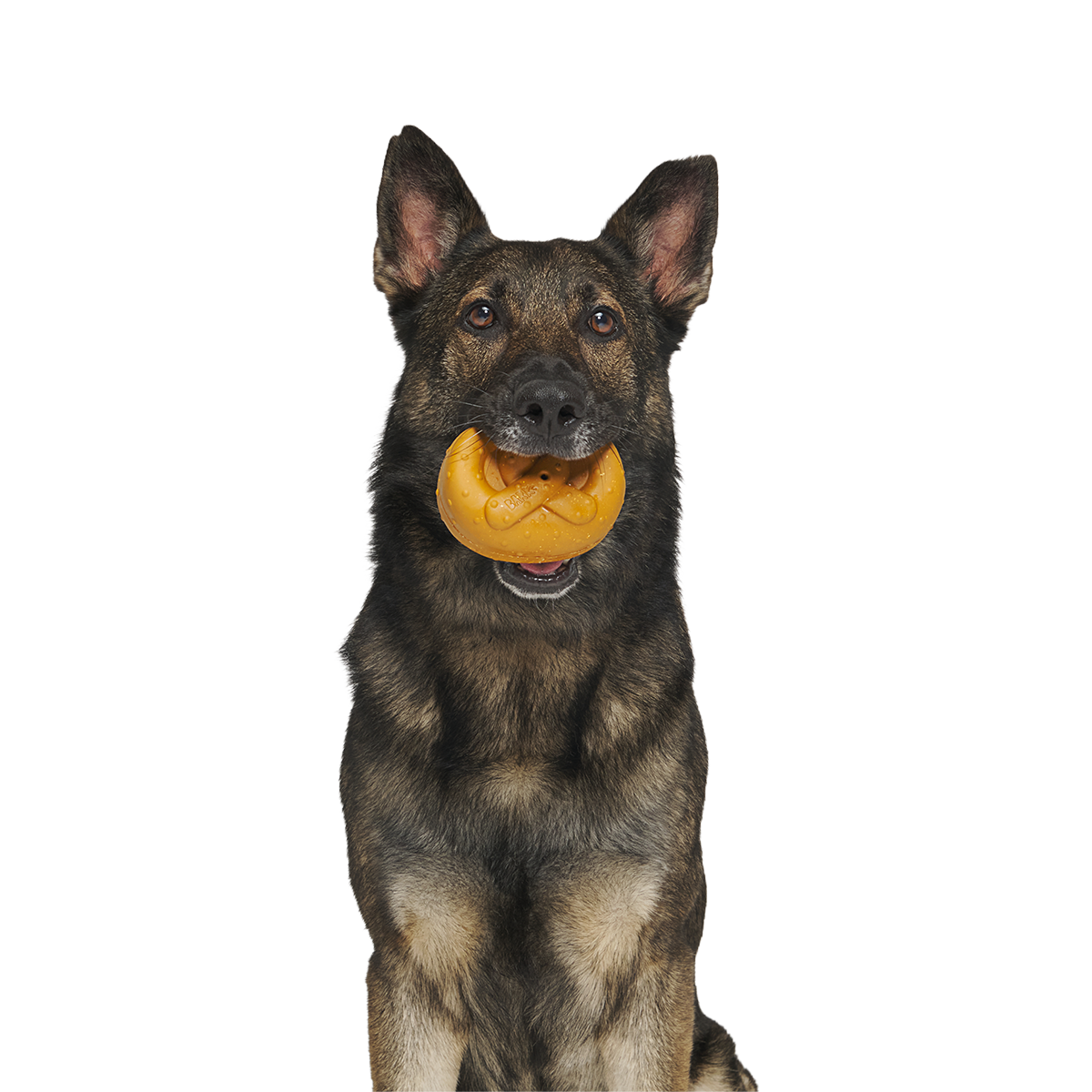 Barkvarian Pretzel Super Chewer Durable Fetch Dog Toy