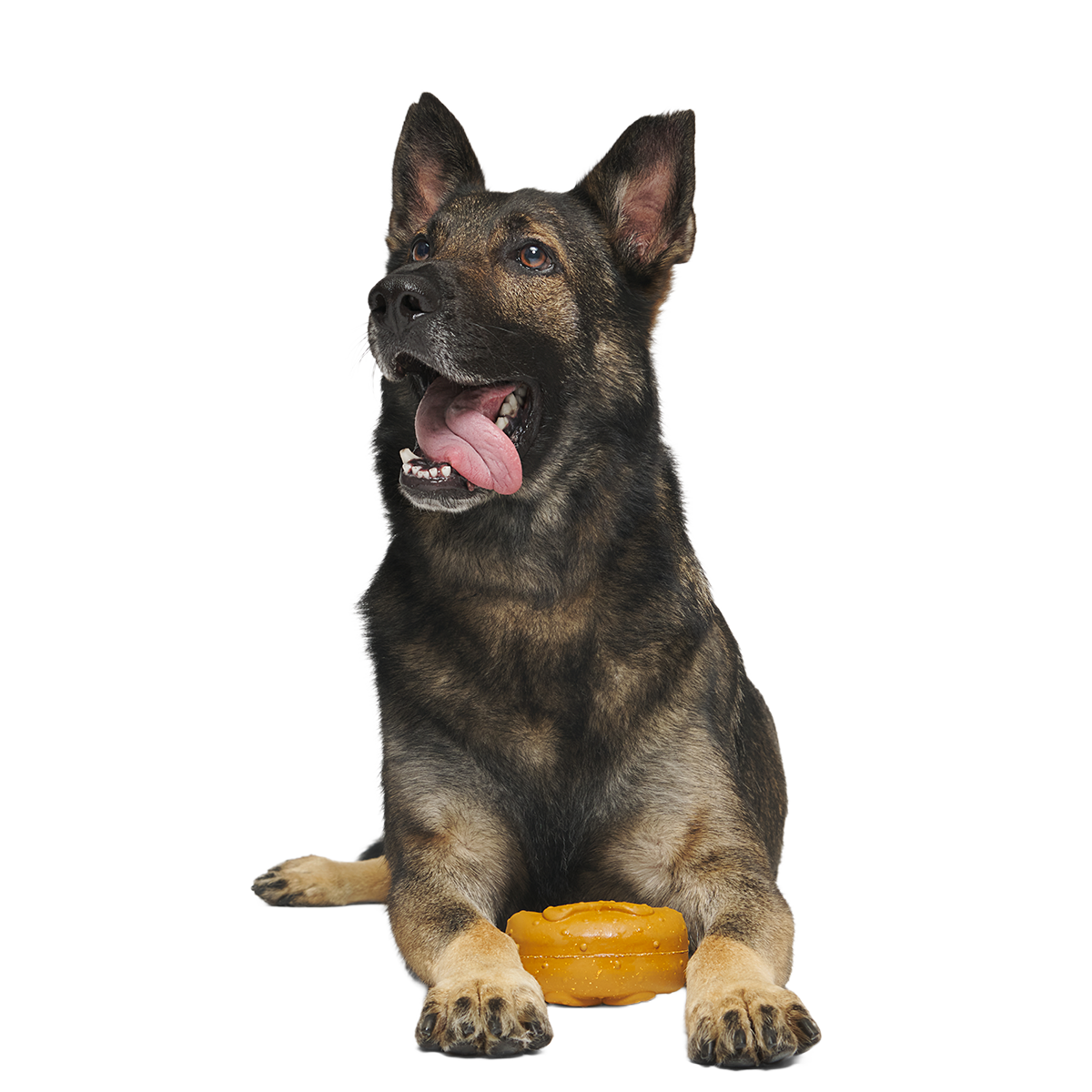 Barkvarian Pretzel Super Chewer Durable Fetch Dog Toy