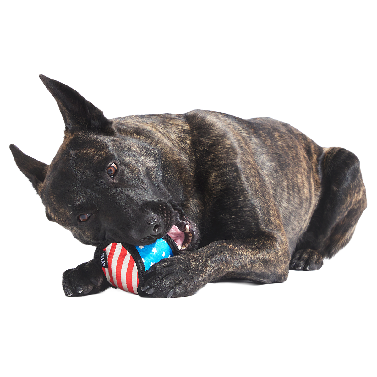 Base Brawl Super Chewer Durable 2-in-1 Fetch Dog Toy