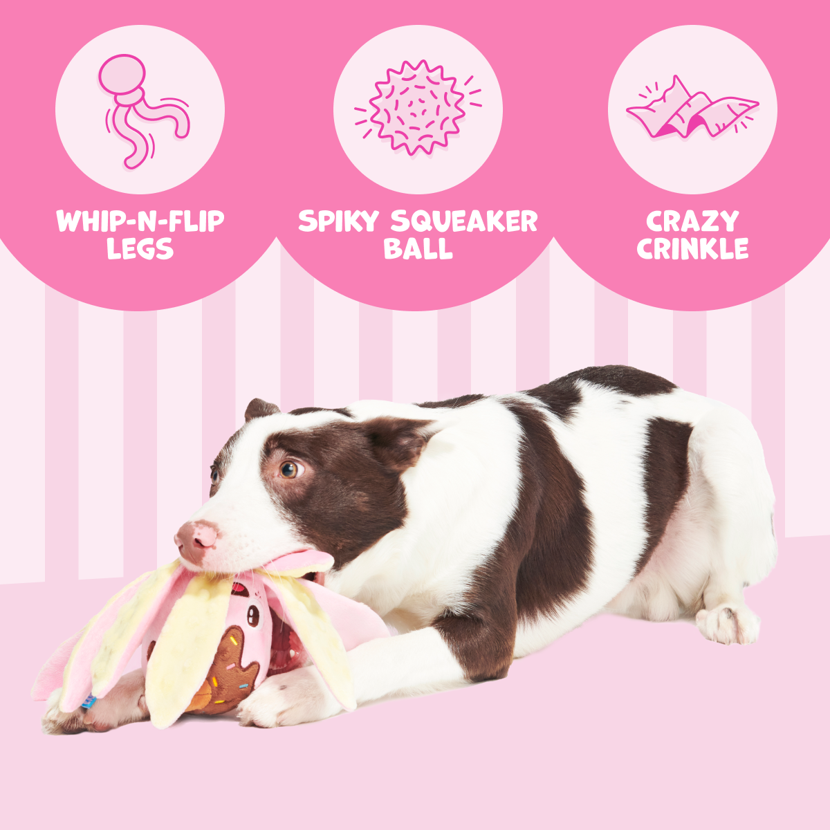 Ollie the Octopus Club, Plush Tug Monthly Dog Toys