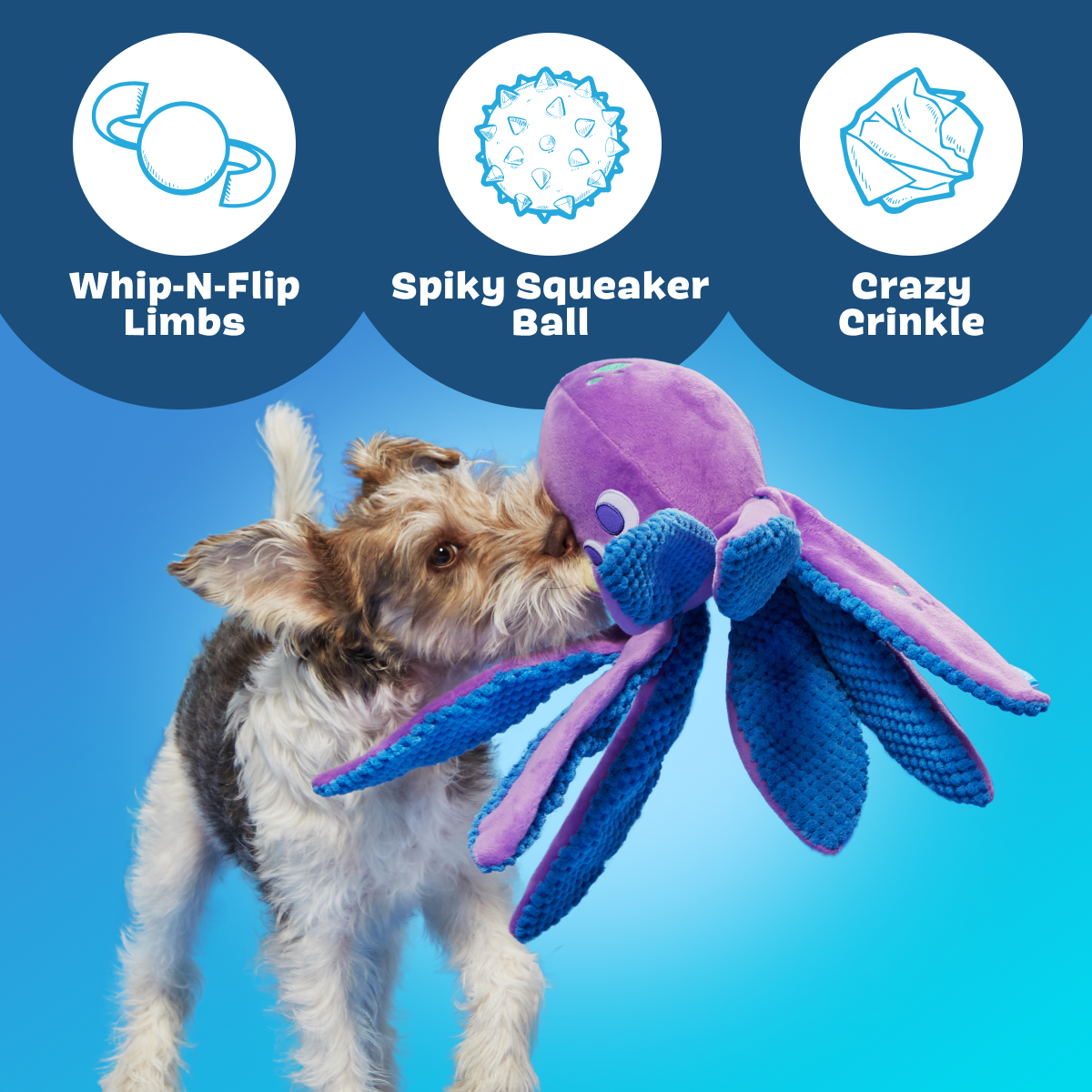 Ollie the Octopus Club, Plush Tug Monthly Dog Toys