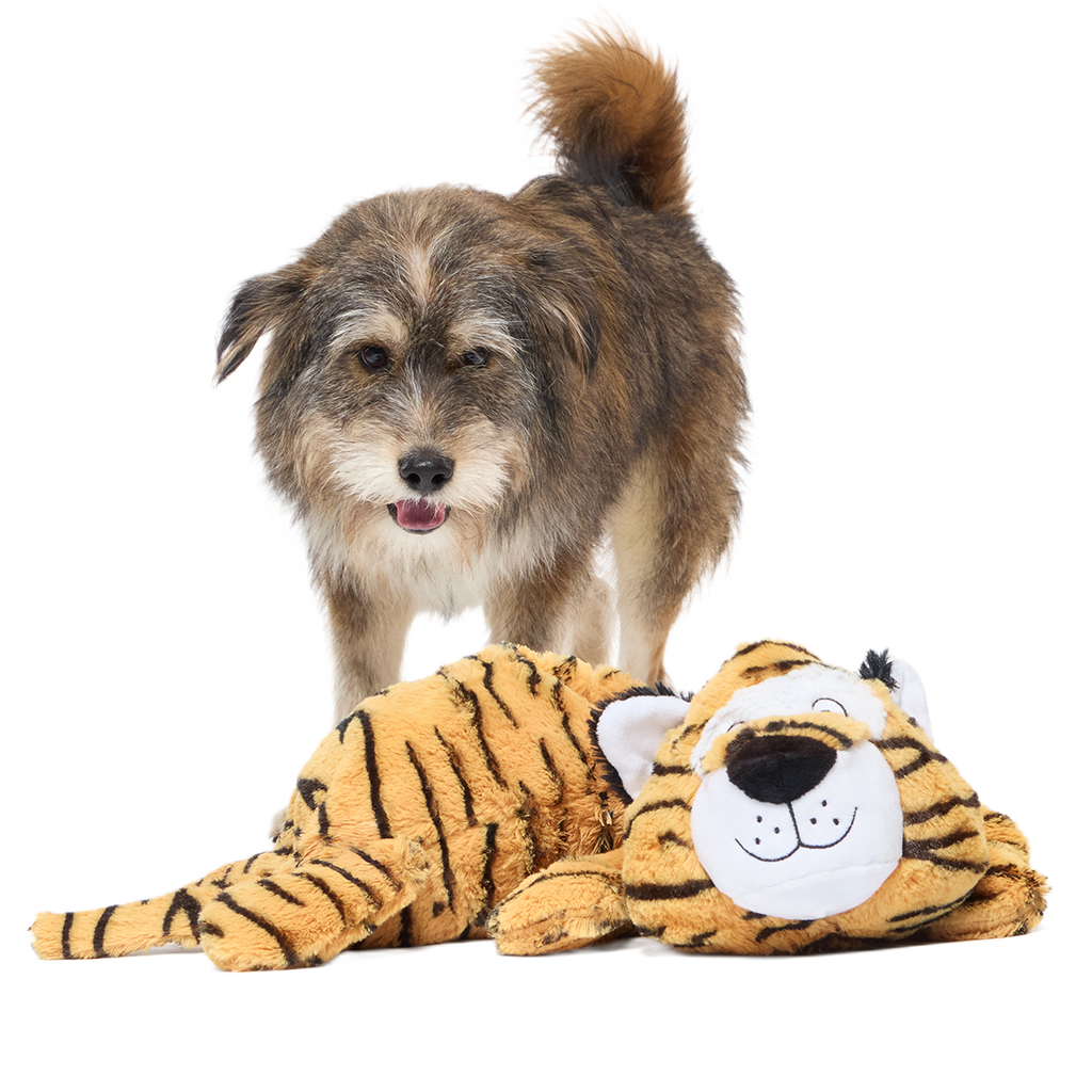 Benji the Bouncing Tiger Plush Extra-Large + Tug Dog Toy – BARK