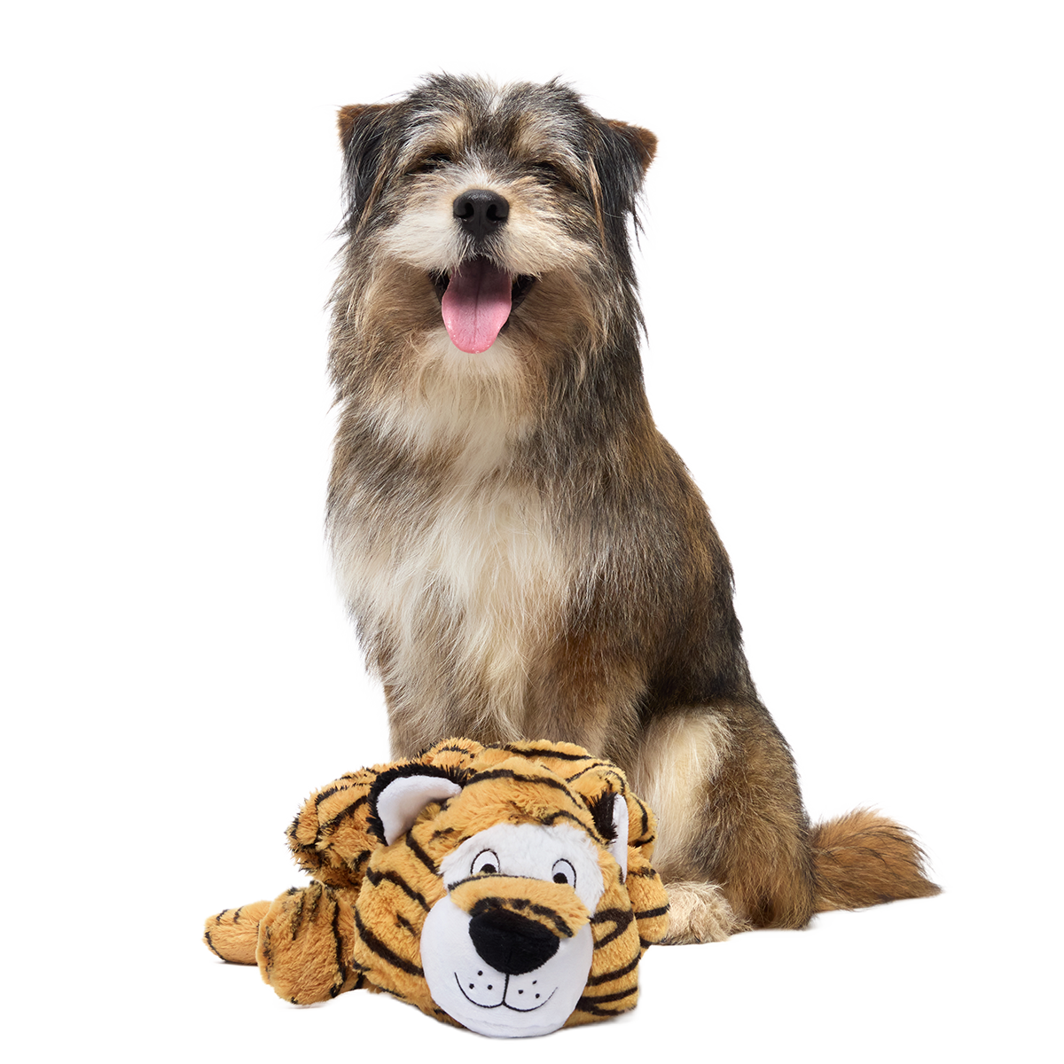 Benji the Bouncing Tiger Plush Extra-Large Tug Dog Toy