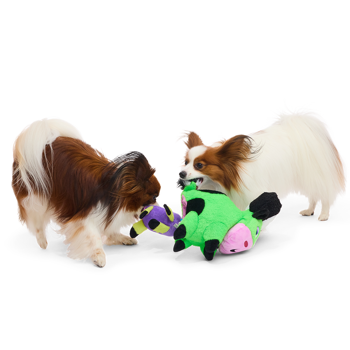 Bertha of Frankenstein Plush Extra-Large + Tug + Enrichment Dog Toy