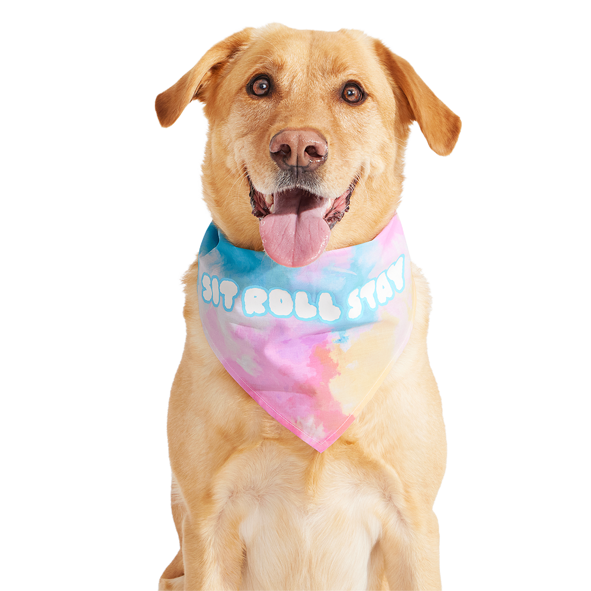 Best Bud Dog Bandana