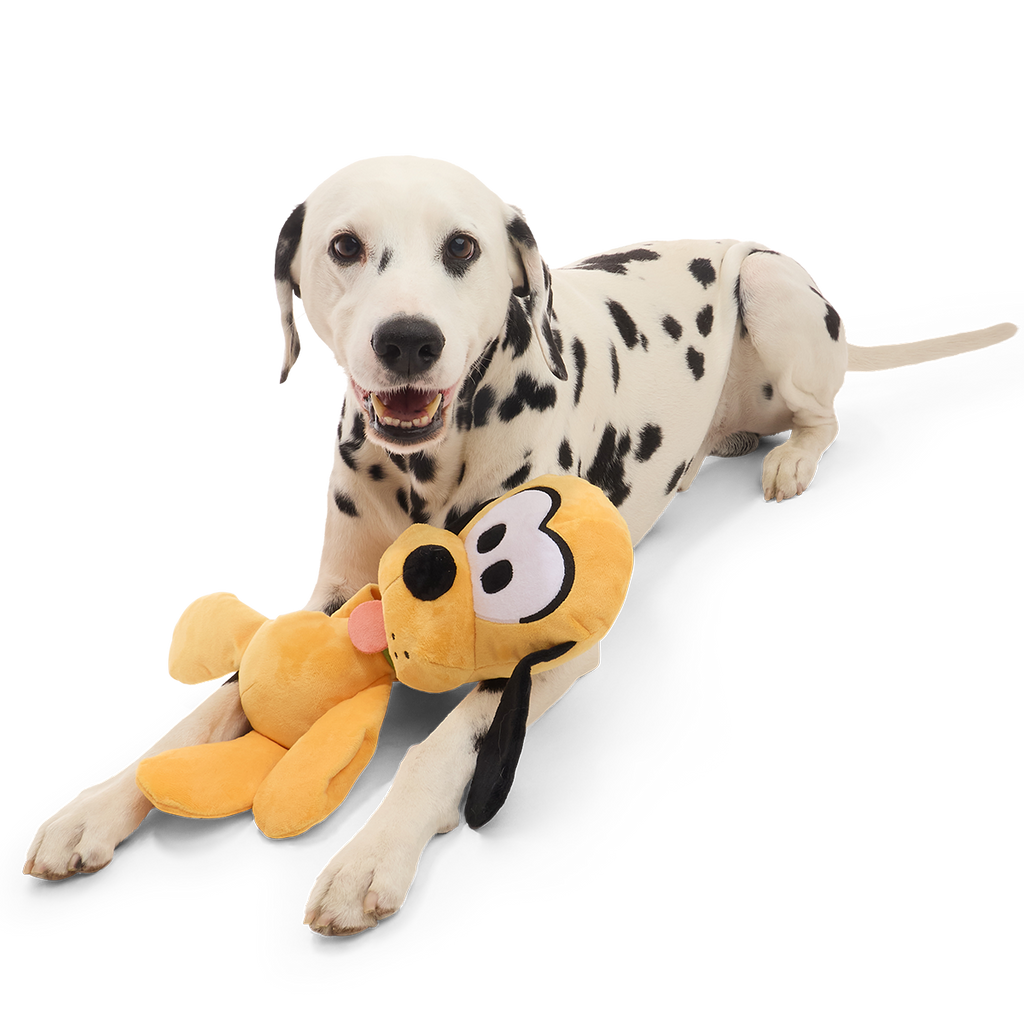 Big Dog Pluto Plush Extra-Large + Tug Dog Toy – BARK