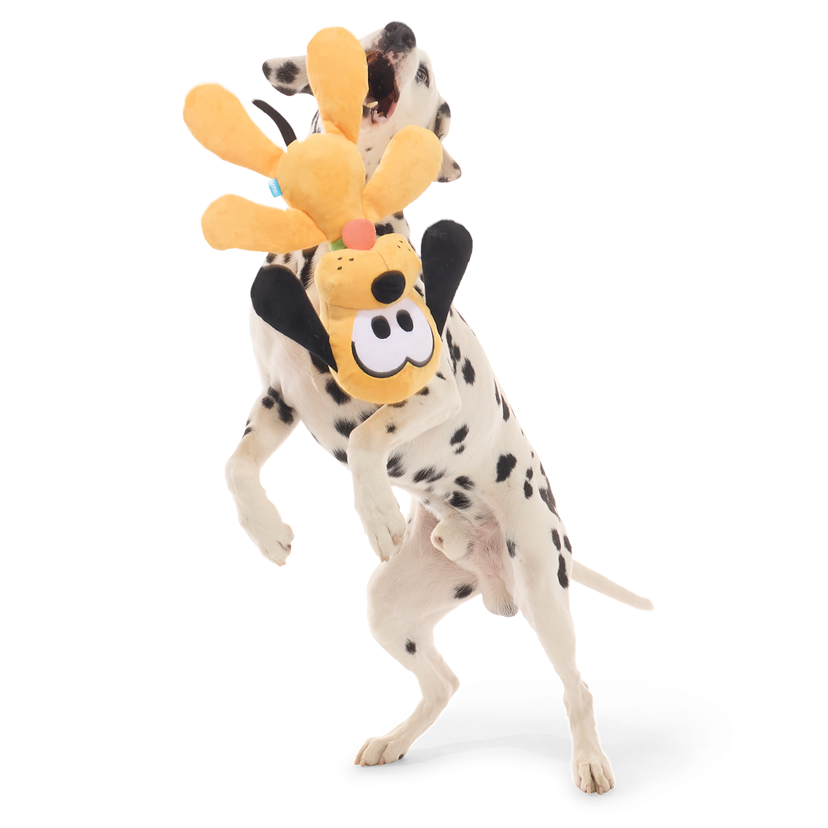 Big Dog Pluto Plush Extra-Large + Tug Dog Toy