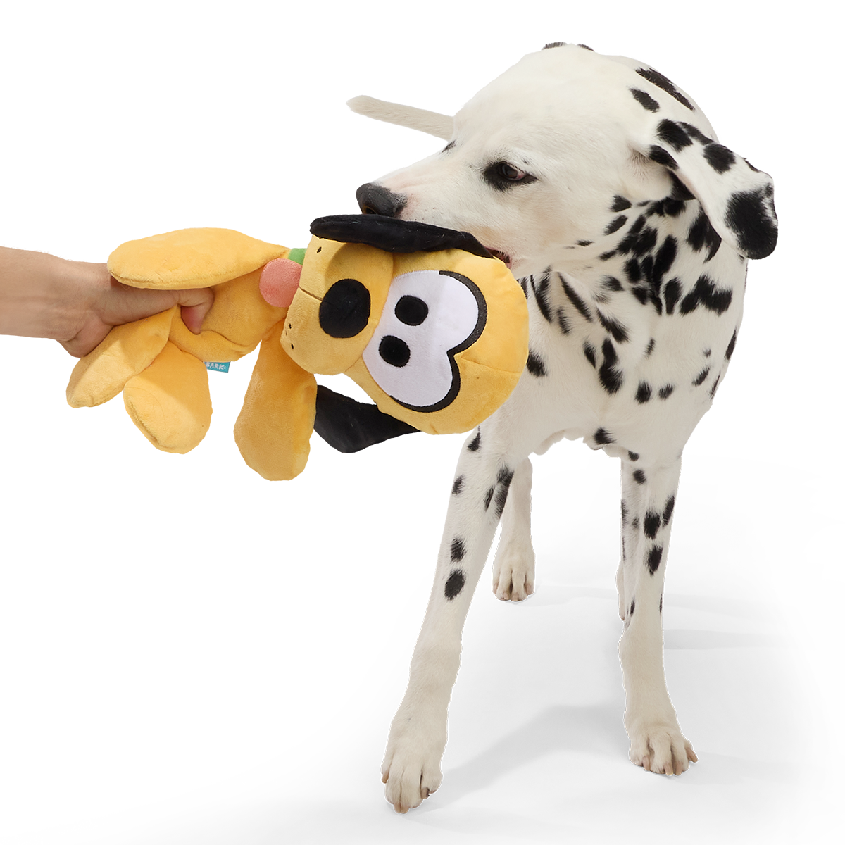 Big Dog Pluto Plush Extra-Large + Tug Dog Toy
