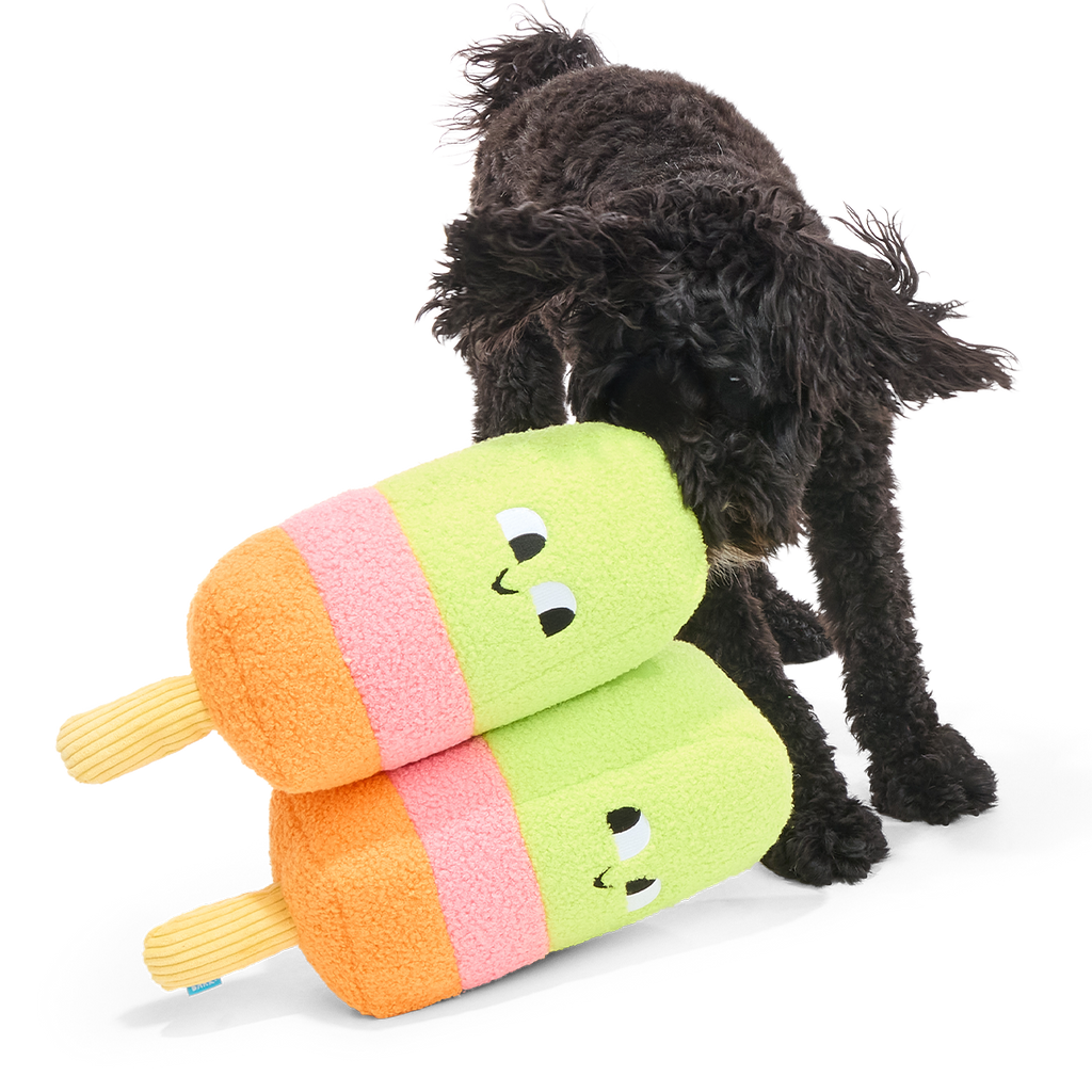 Big Ice Pupsicle Plush Extra-Large + Tug Dog Toy – BARK