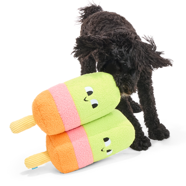 Big Ice Pupsicle Plush Extra-Large + Tug Dog Toy – BARK