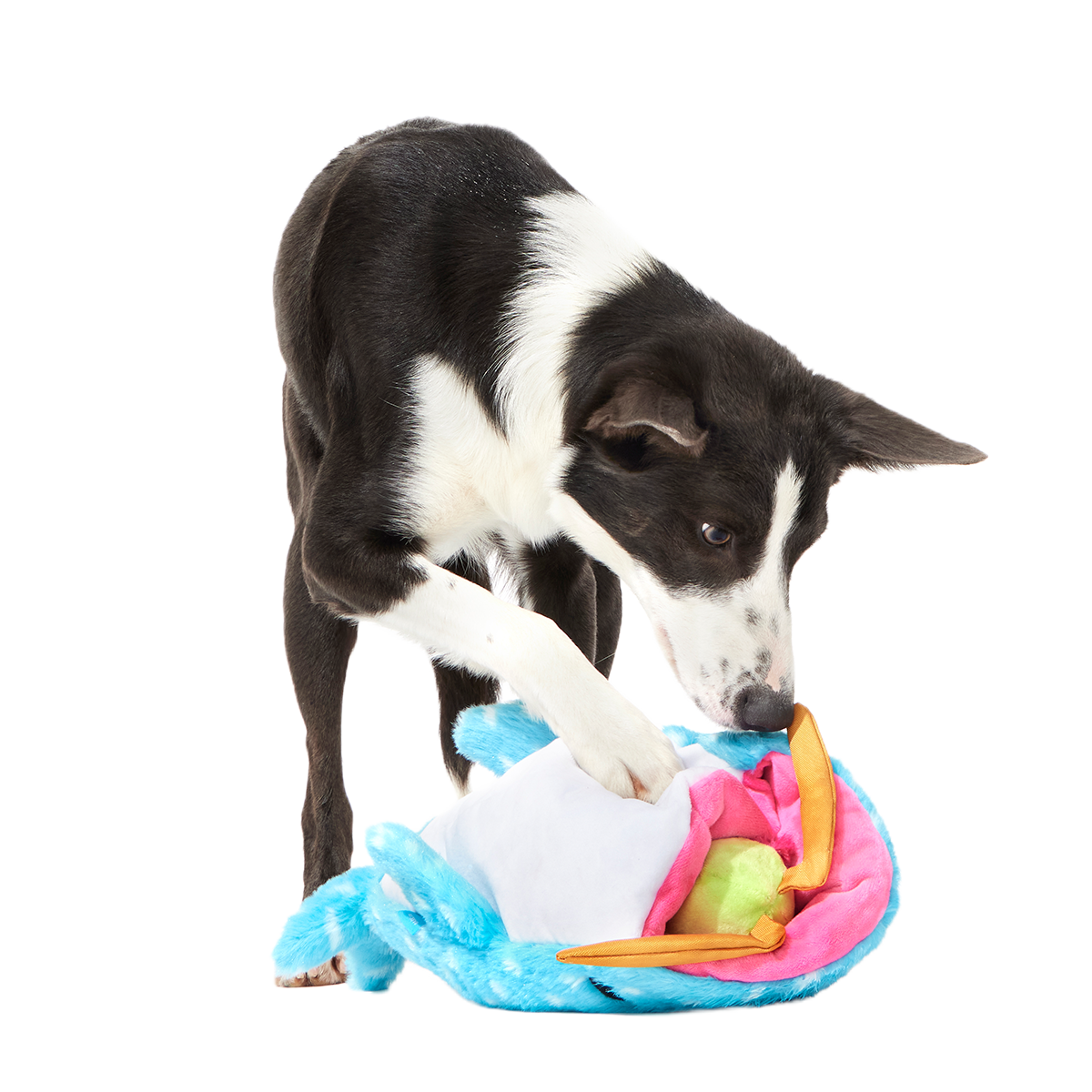 Big Mark The Whale Shark Plush Multi-Part + Extra Large Dog Toy