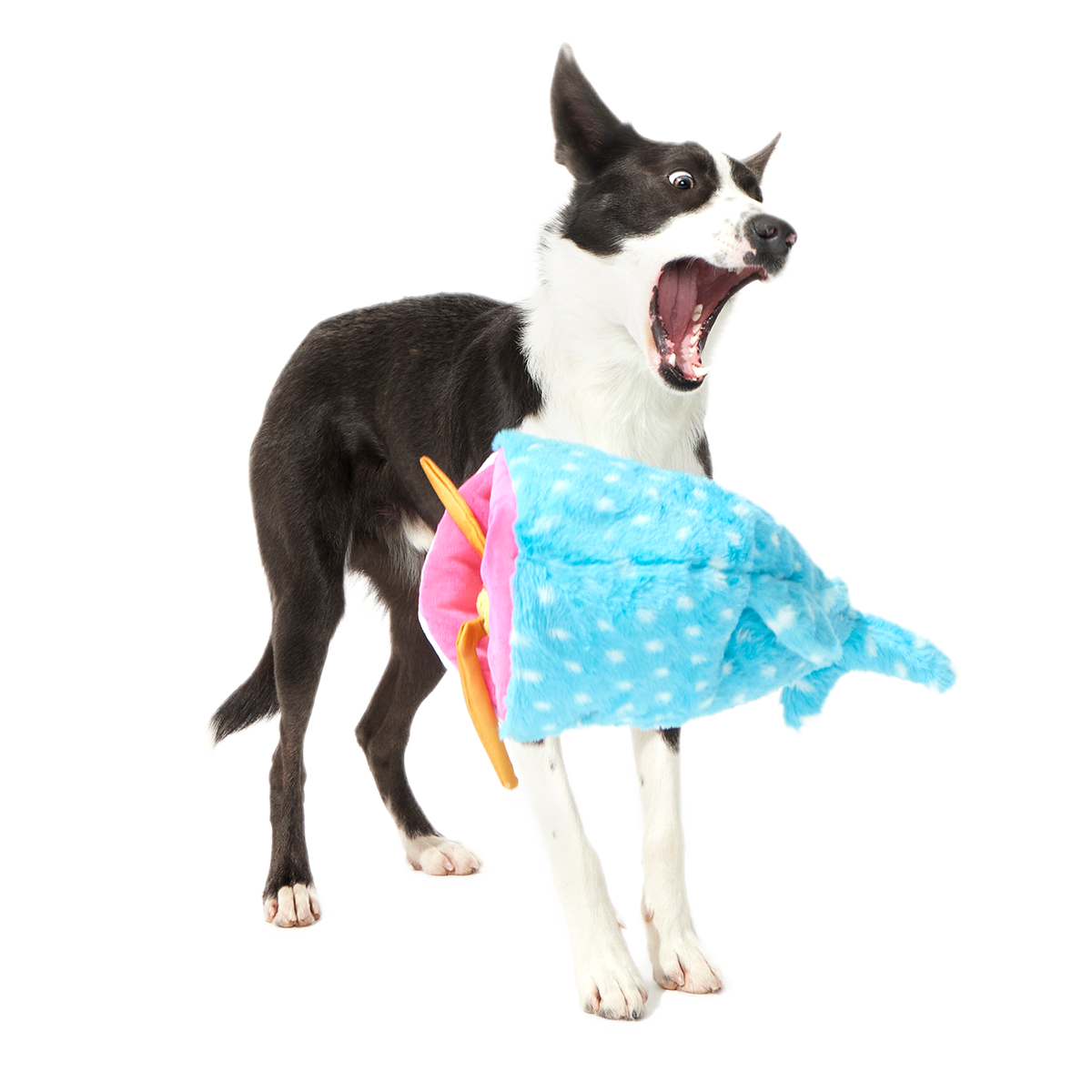 Big Mark The Whale Shark Plush Multi-Part + Extra Large Dog Toy