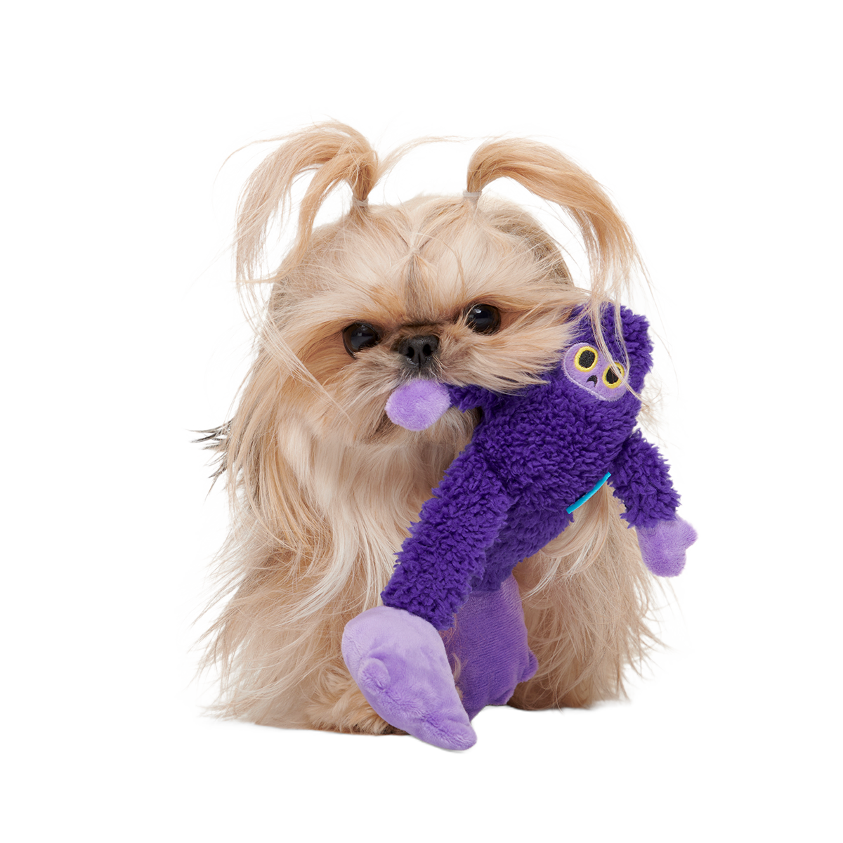 Buddy Bigfoot Plush Tug Dog Toy