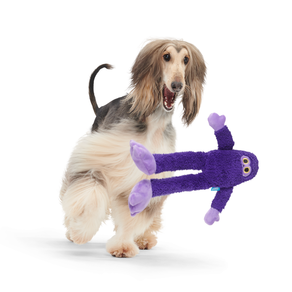Buddy Bigfoot Plush Tug Dog Toy