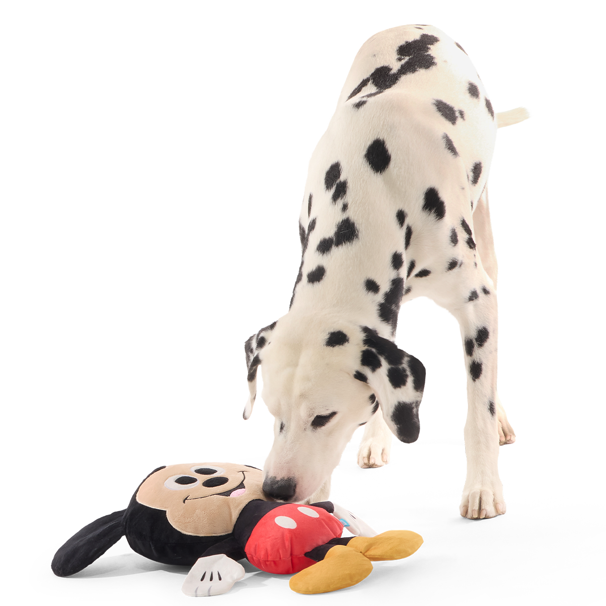 Biggest Pal Mickey Plush Extra-Large + Tug Dog Toy