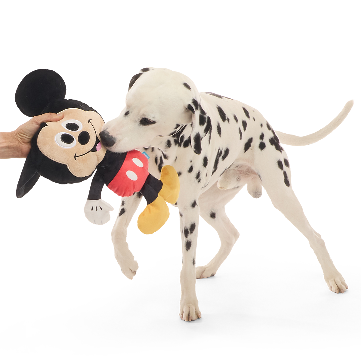 Biggest Pal Mickey Plush Extra-Large + Tug Dog Toy