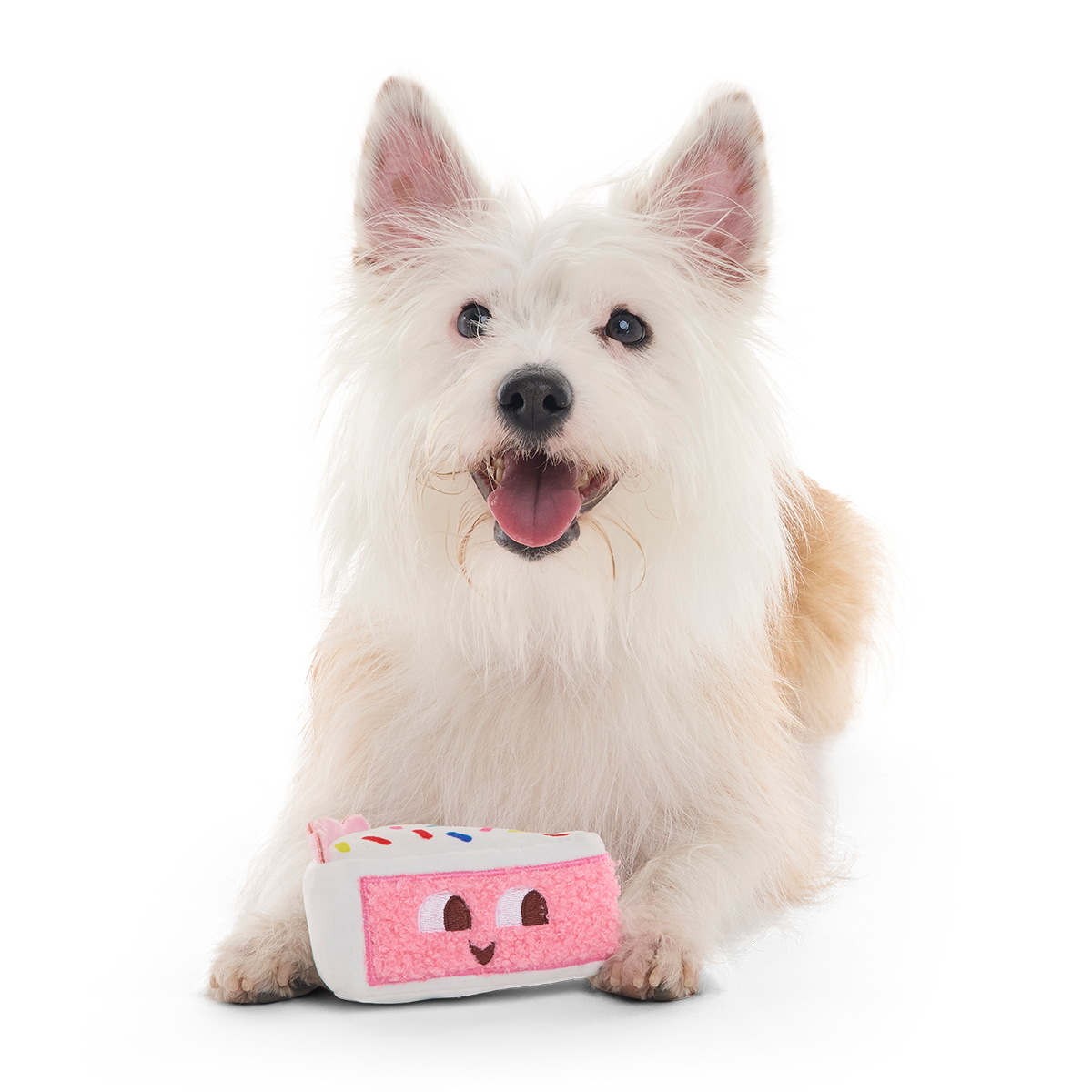 Birthday Kate Plush Tug Dog Toy