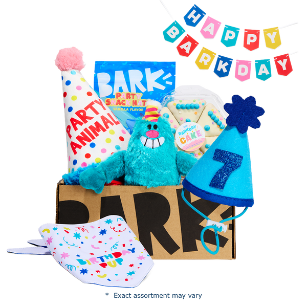 Birthday Classic Plush Gift Box – BARK