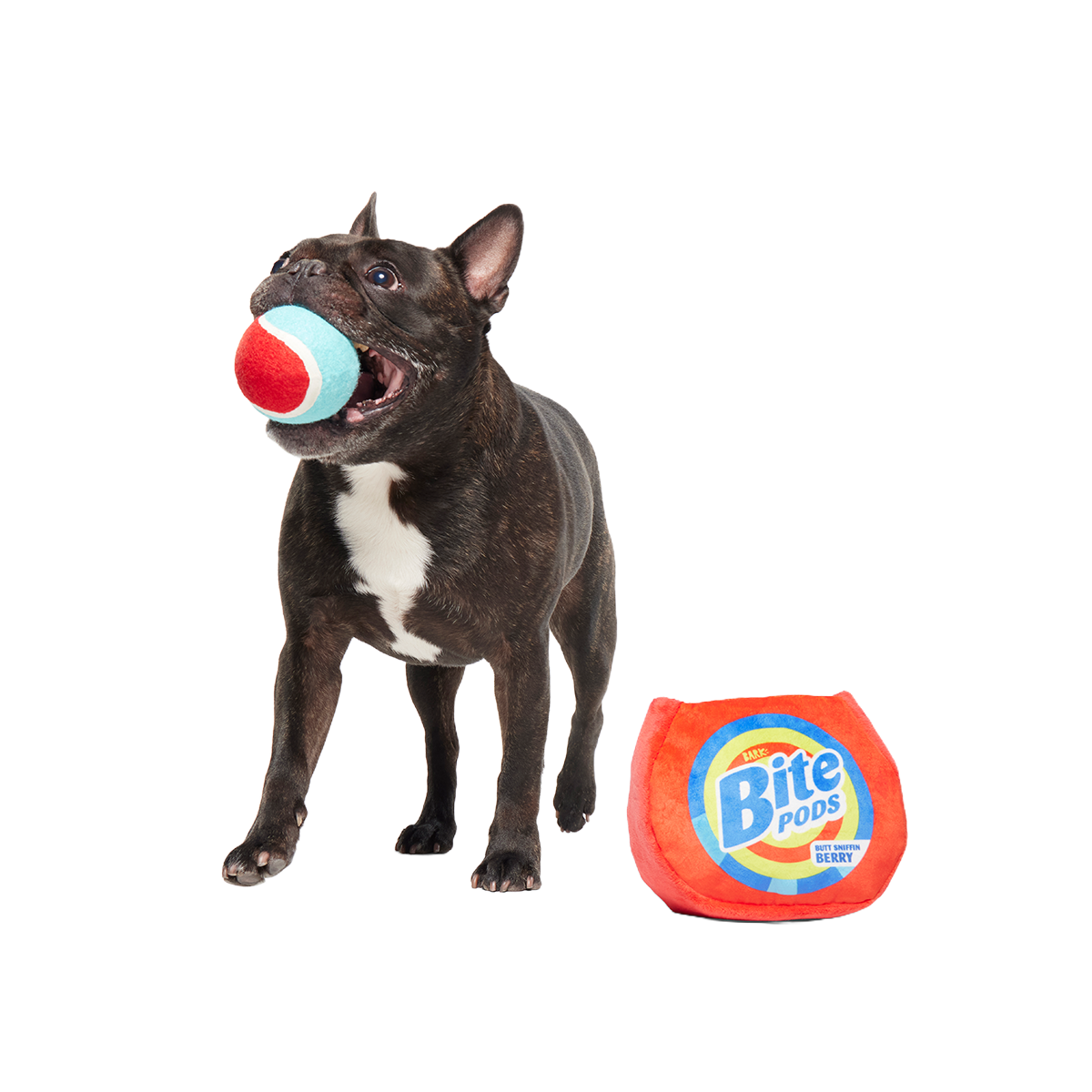Bite Pods Plush Multi-Part + Fetch + Enrichment Dog Toy