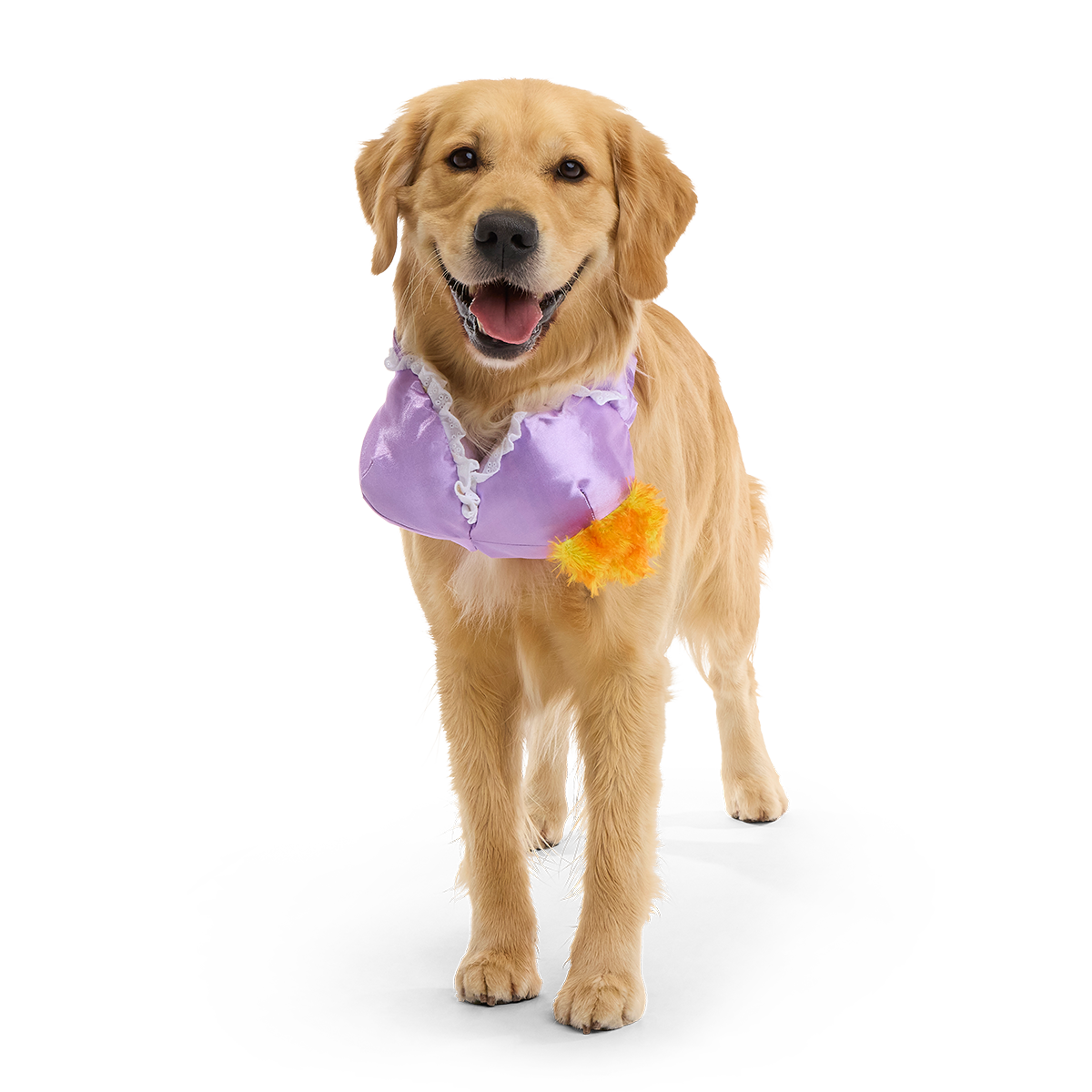 Bite the Patriarchy Plush Tug Dog Toy