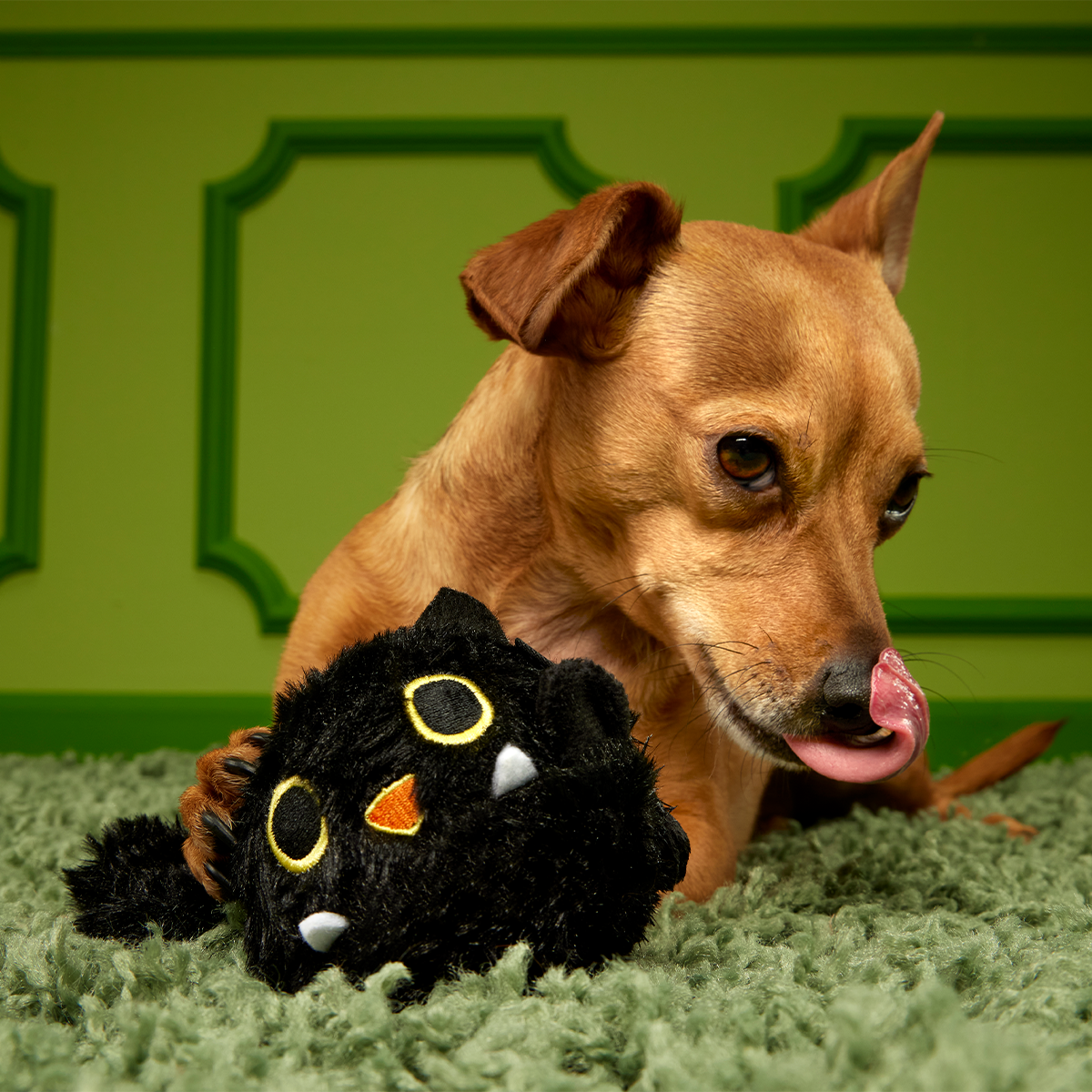 Black Alley Cat Super Chewer Durable 2-in-1 + Tug + Fetch Dog Toy