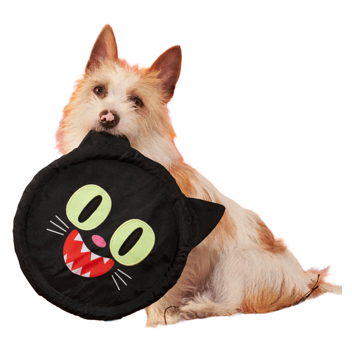 Black Catch Plush Extra-Large + Fetch Dog Toy