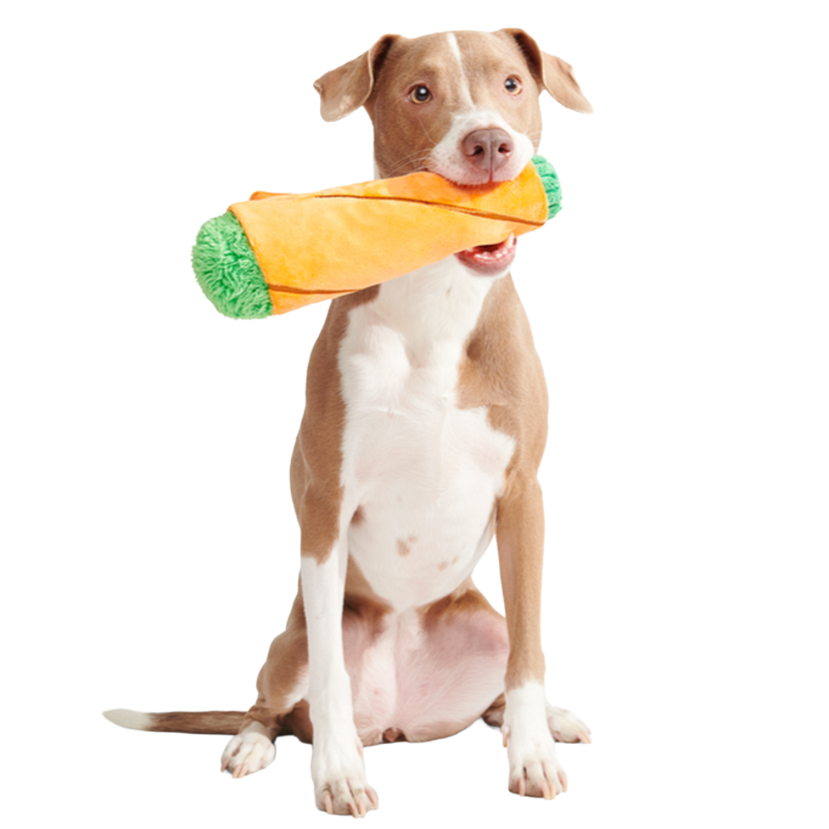 Blunt Hound Plush Enrichment Dog Toy