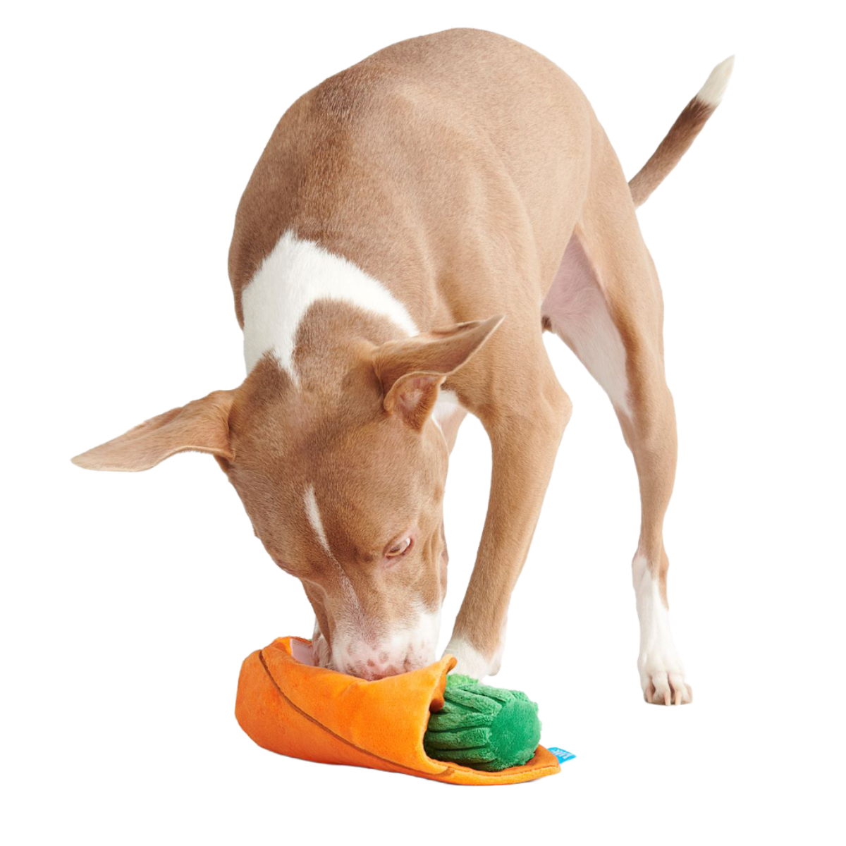 Blunt Hound Plush Enrichment Dog Toy