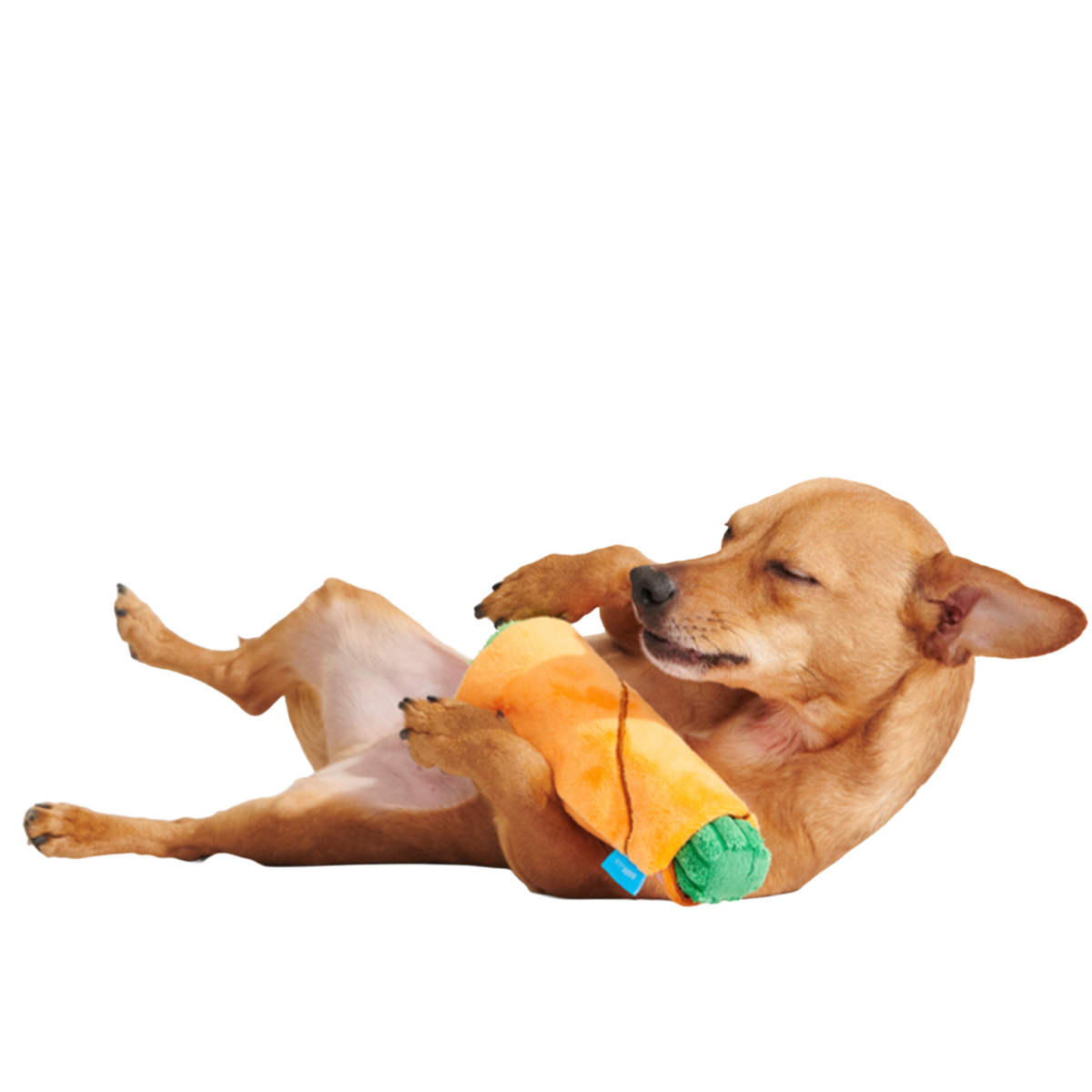 Blunt Hound Plush Enrichment Dog Toy