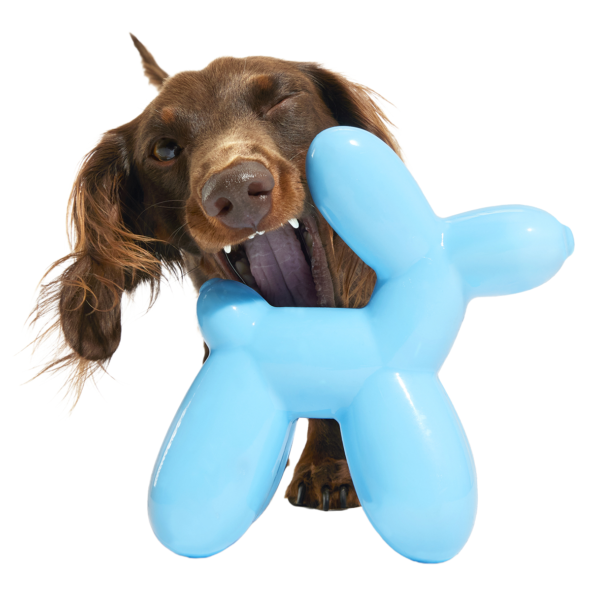 Bob the Balloon Super Chewer Durable Gnaw Dog Toy