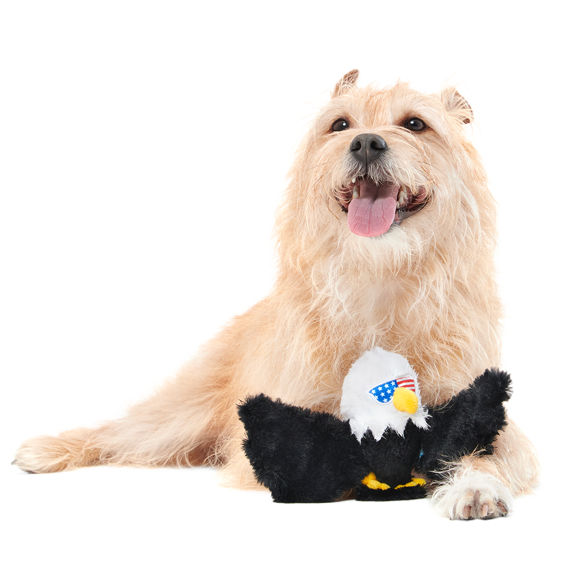Bold Eagle Plush Tug Dog Toy