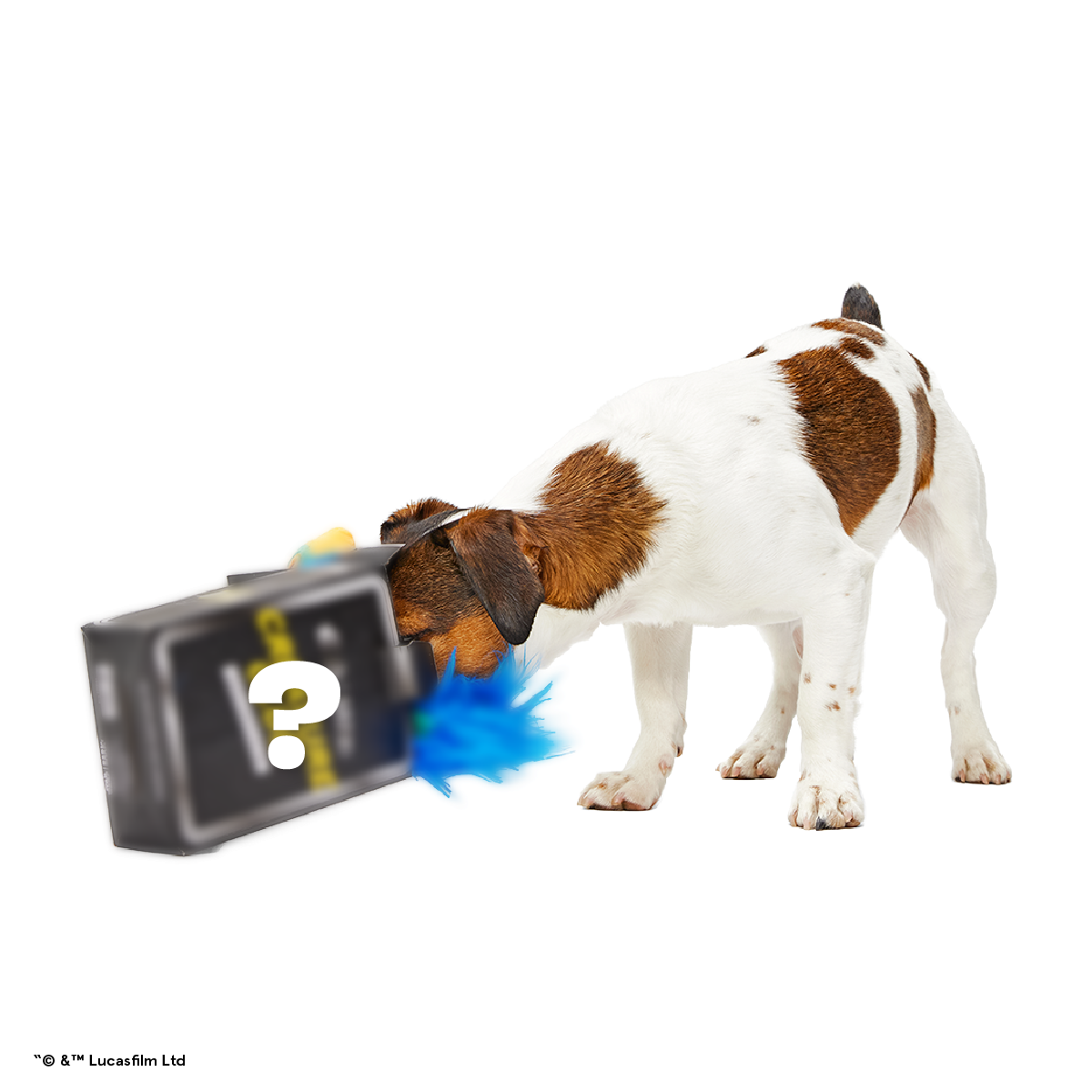 Star Wars™ Creature Club, Plush Monthly Dog Toys