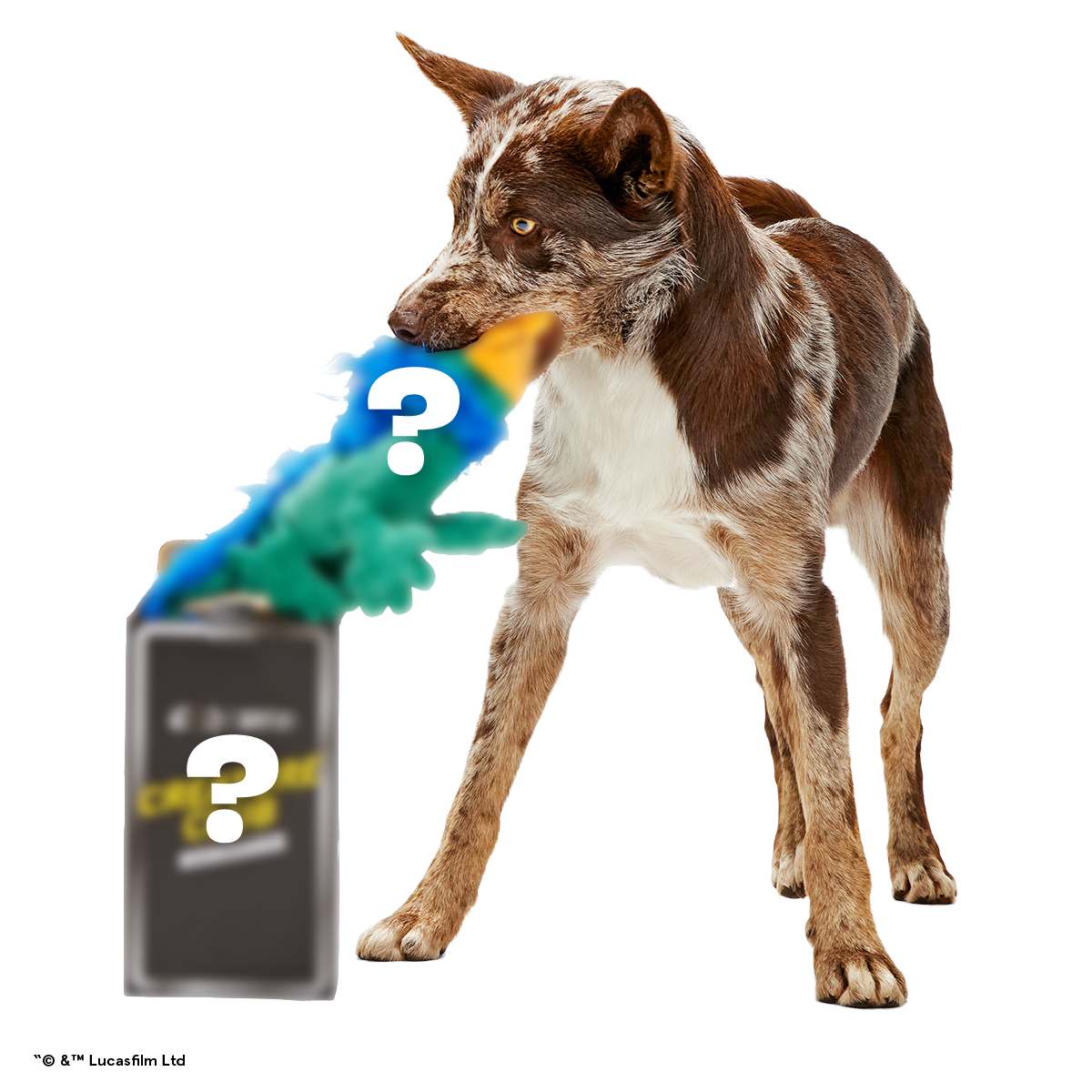 Star Wars™ Creature Club, Plush Monthly Dog Toys