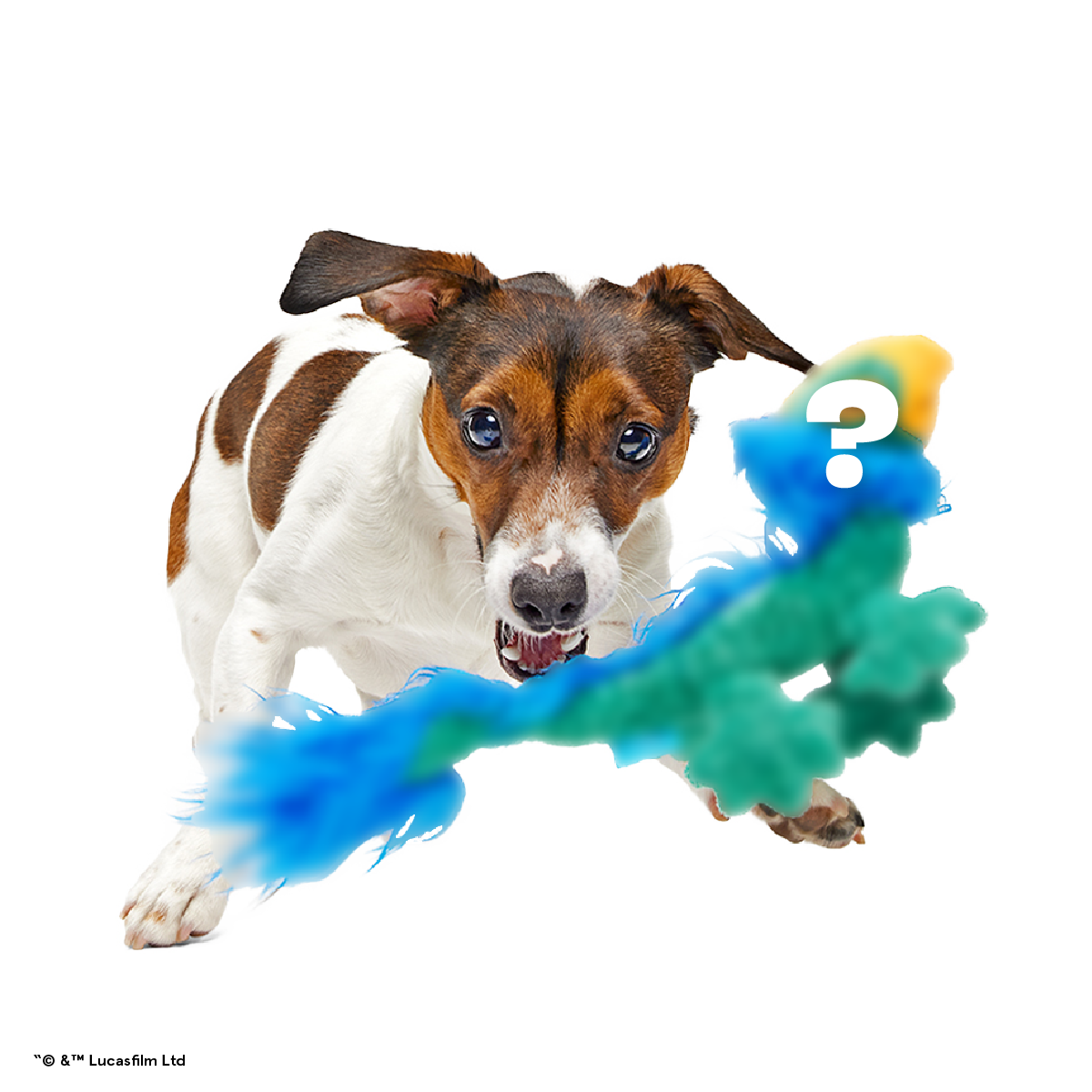 Star Wars™ Creature Club, Plush Monthly Dog Toys