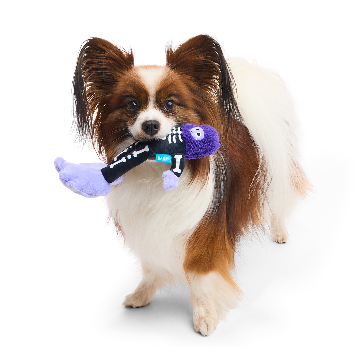 Boney Bigfoot Plush Tug Dog Toy