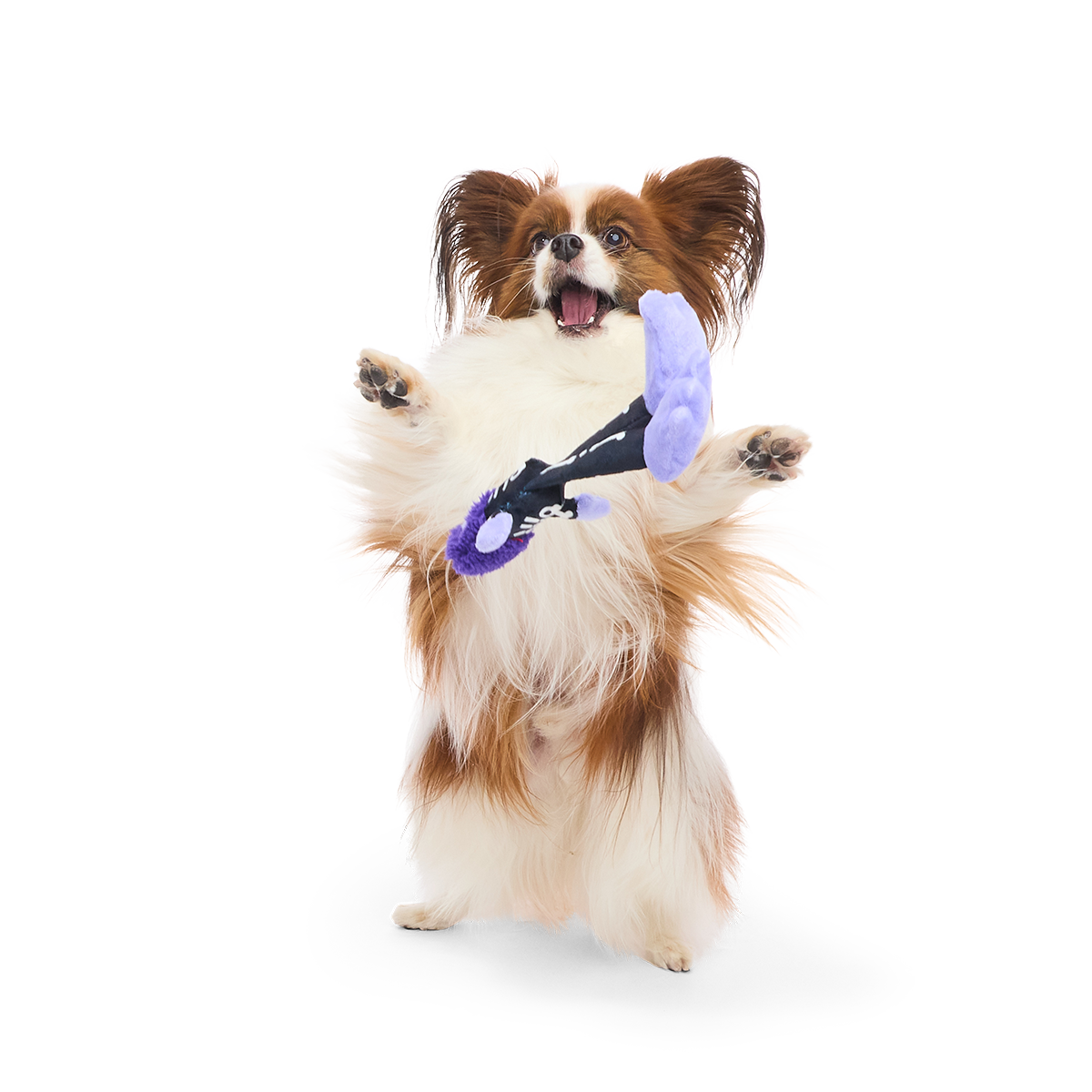 Boney Bigfoot Plush Tug Dog Toy