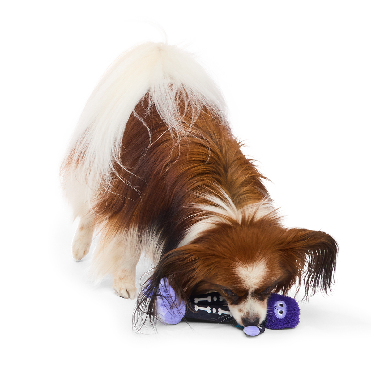 Boney Bigfoot Plush Tug Dog Toy