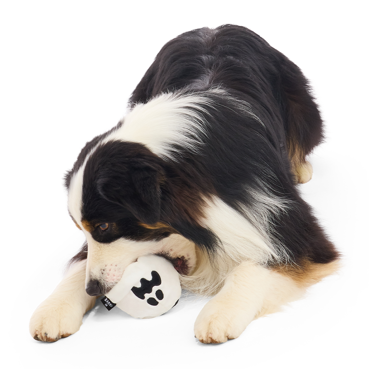 Boo Bee Super Chewer Durable 2-in-1 Dog Toy