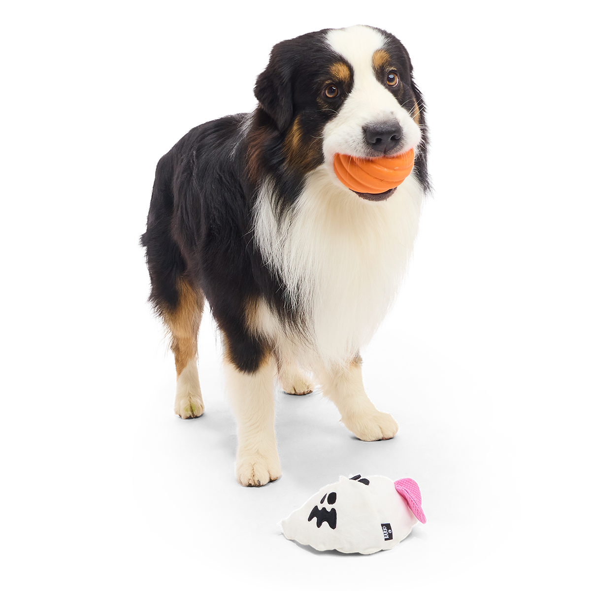 Boo Bee Super Chewer Durable 2-in-1 Dog Toy