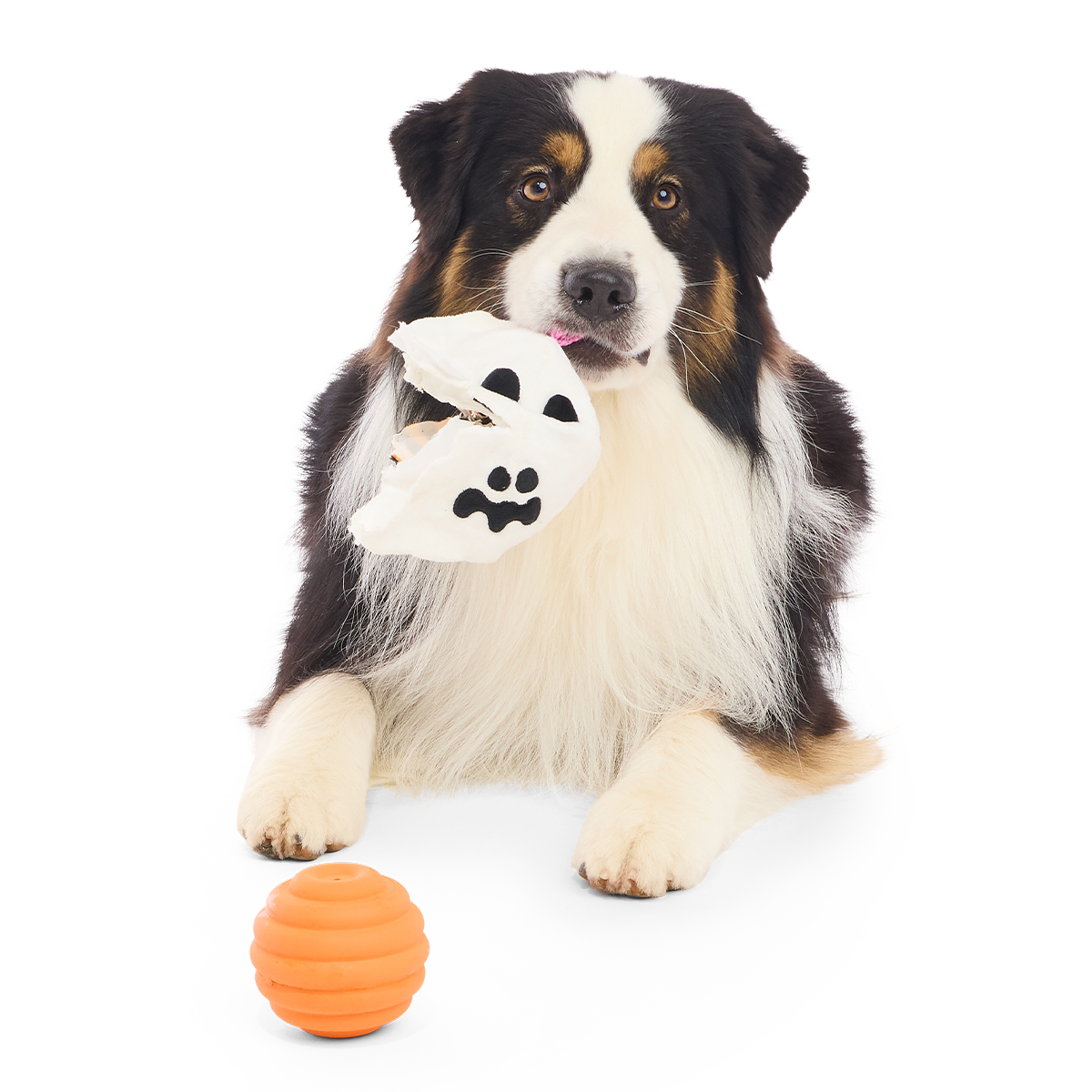 Boo Bee Super Chewer Durable 2-in-1 Dog Toy