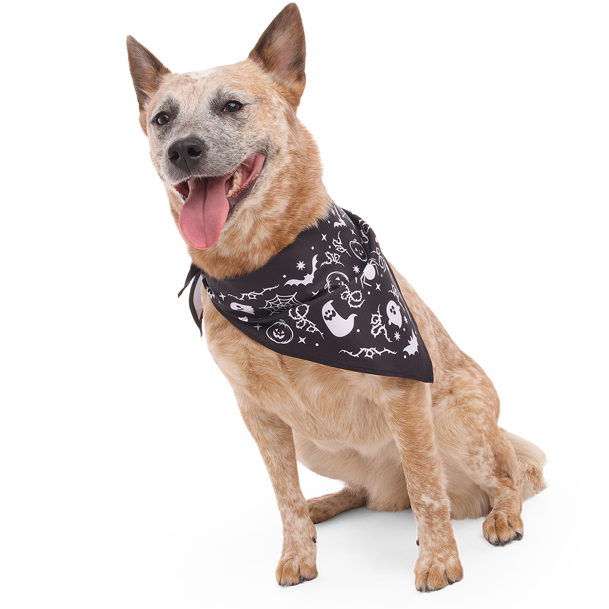 Boo Dog Bandana