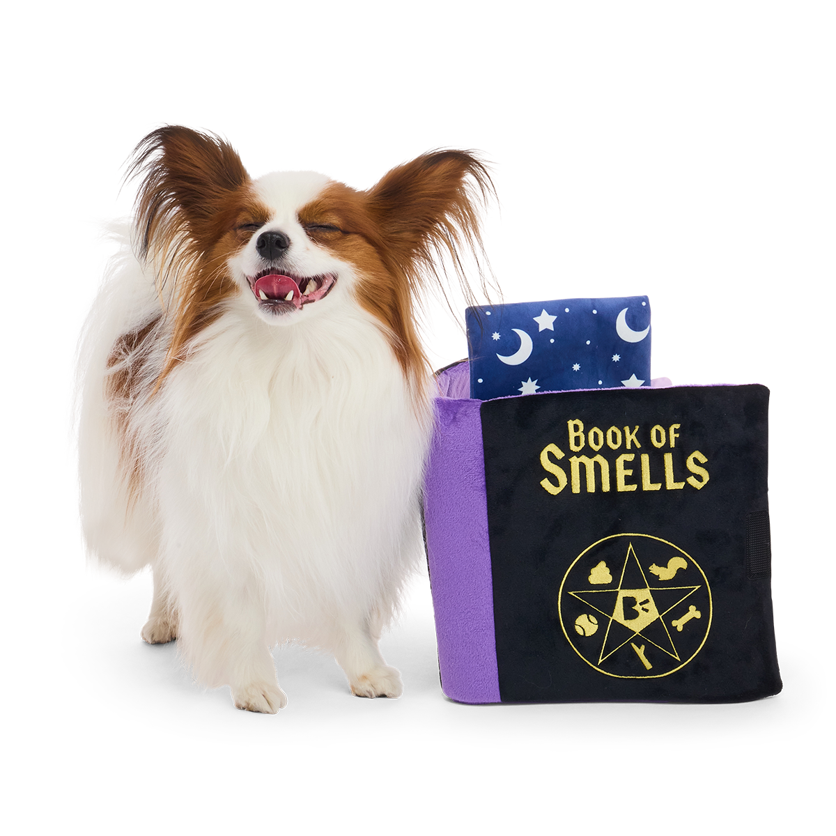 Book of Smells Plush Enrichment Dog Toy