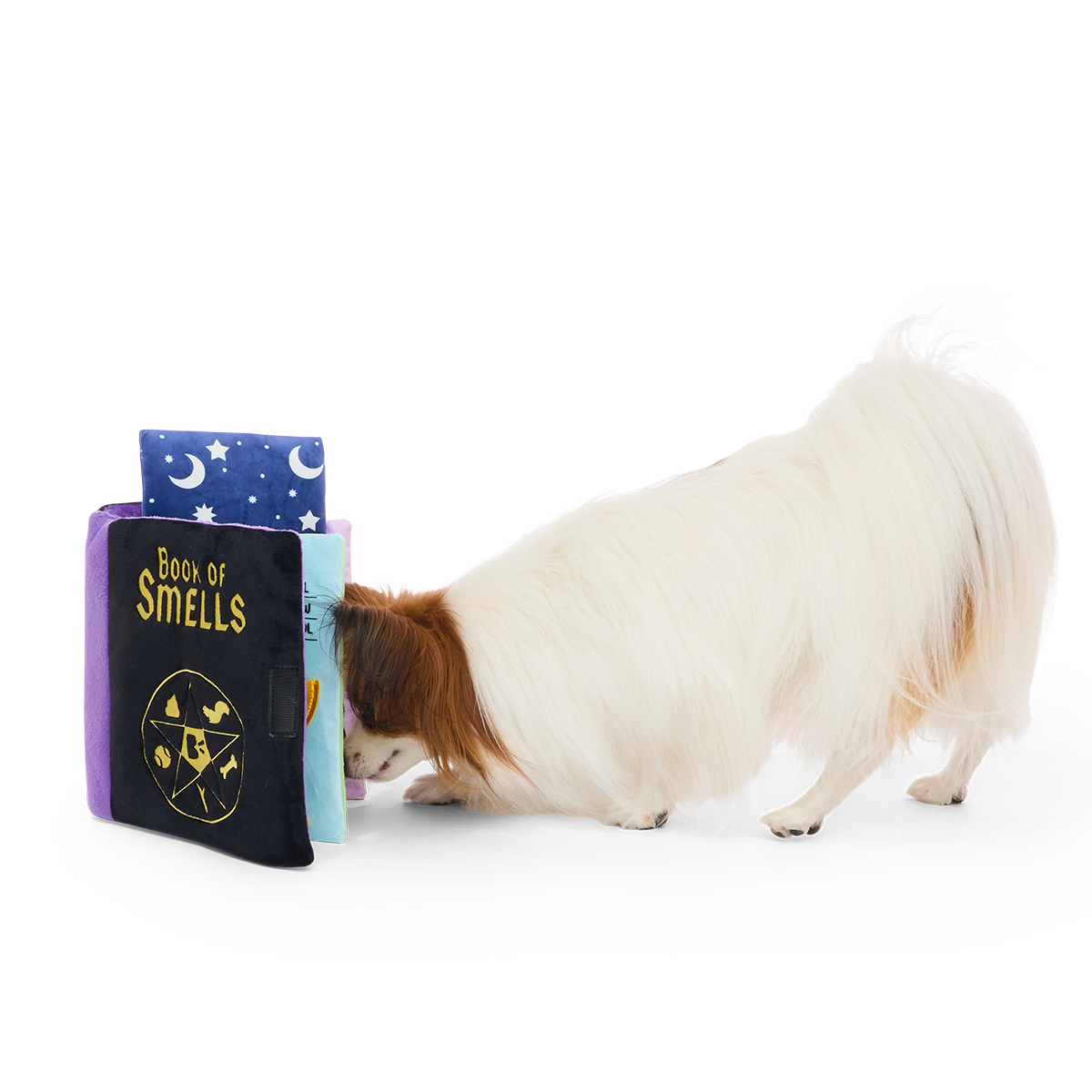 Book of Smells Plush Enrichment Dog Toy