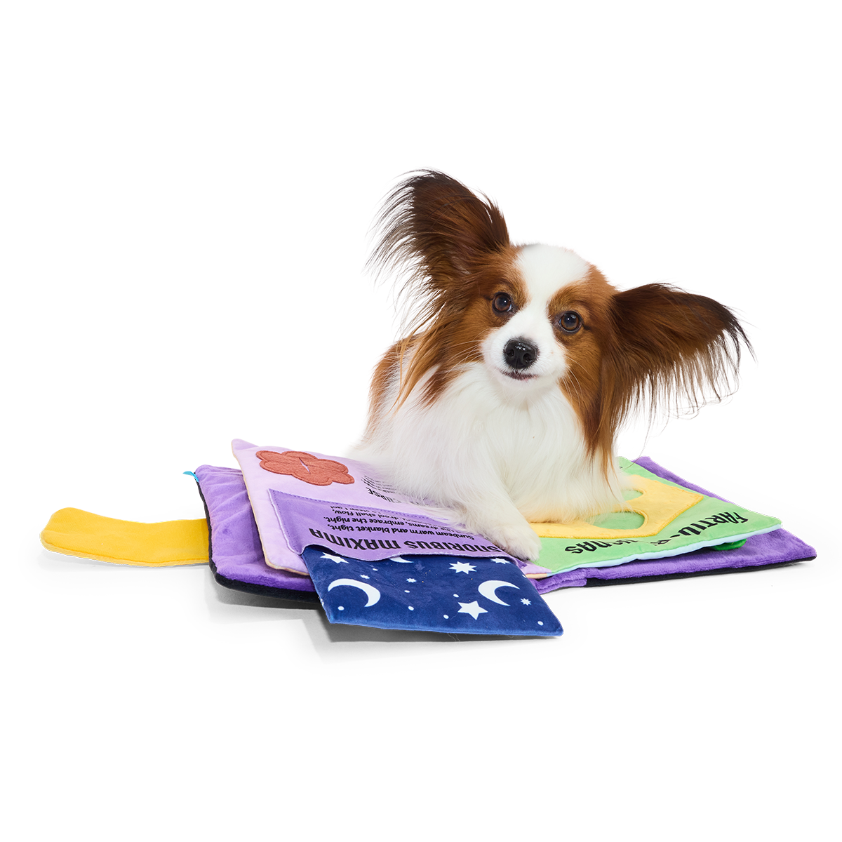 Book of Smells Plush Enrichment Dog Toy