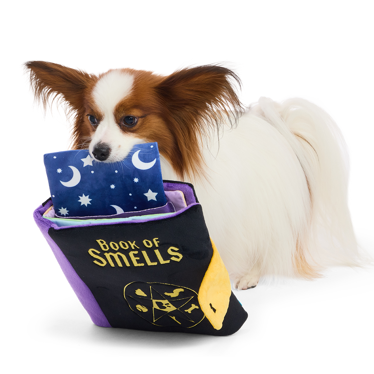 Book of Smells Plush Enrichment Dog Toy
